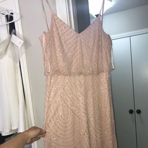 Adrianna Papell Blush Gown